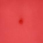 Rosado +60,00&nbsp;&euro;